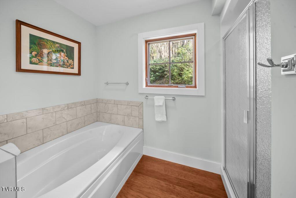 342 Ripshin Lake Road, Roan Mountain, Tennessee image 28