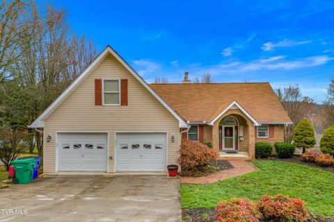 Photo of 1401 Brookfield Drive, Morristown, TN 37814 (MLS # 9989244)