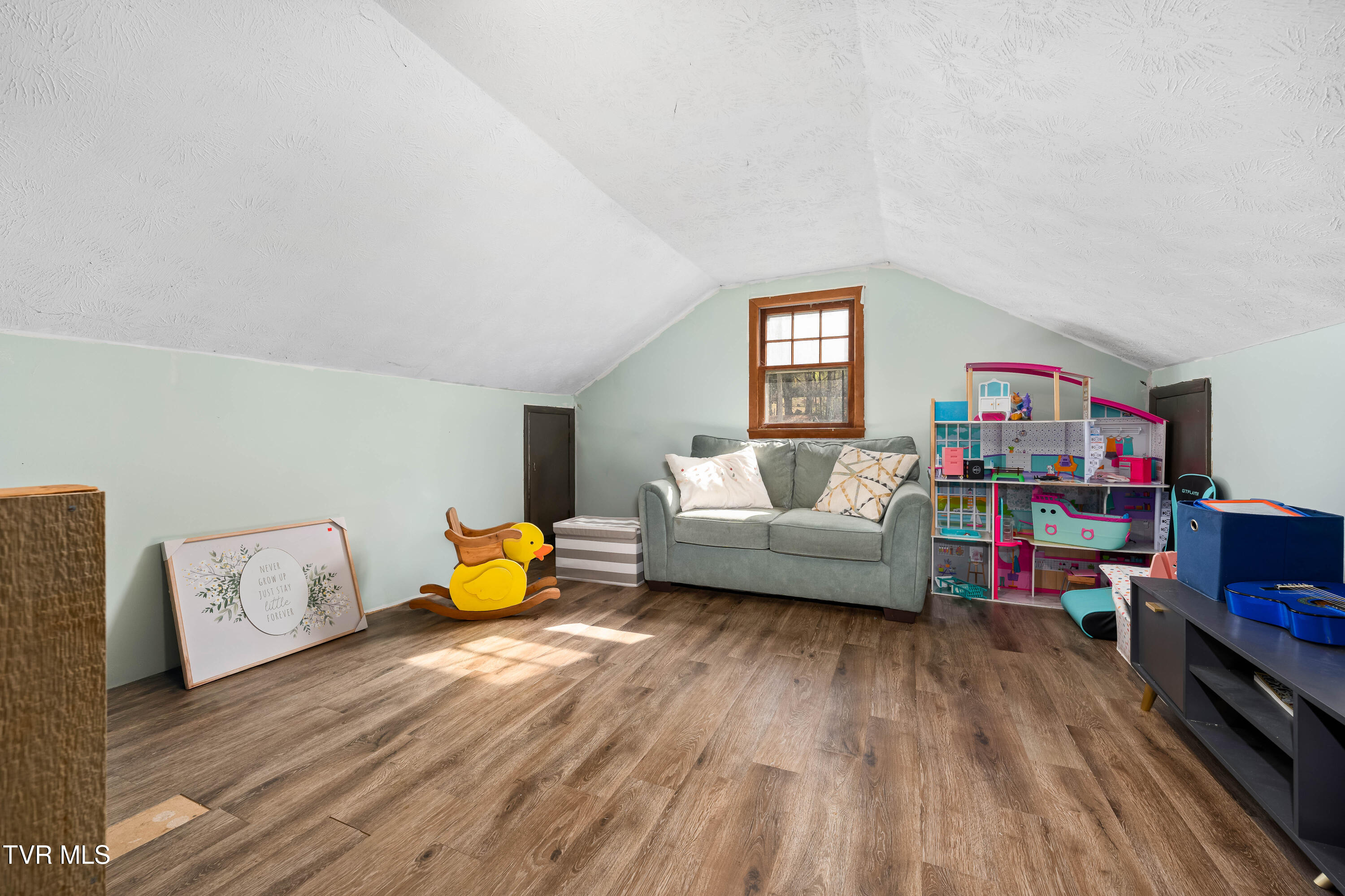 1239 Main Street, Mountain City, Tennessee image 22