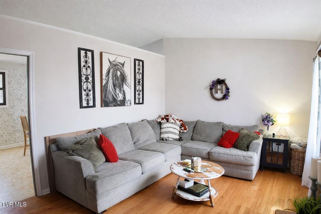 Photo of 361 Springfield Drive, Bristol, TN 37620 (MLS # 9992354)