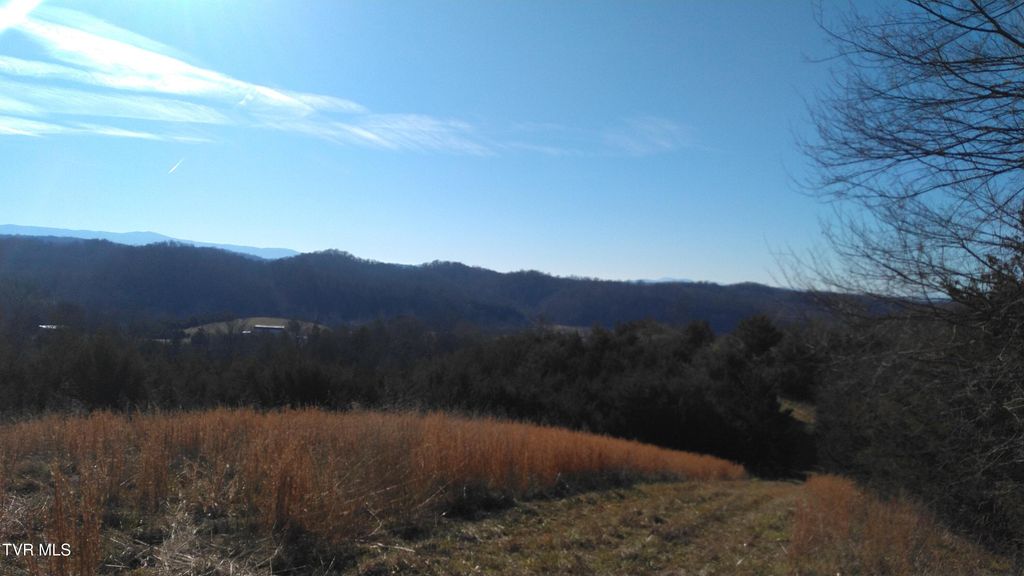 Photo of 0000 Roaring Fork Road, Greeneville, TN 37745 (MLS # 9964334)