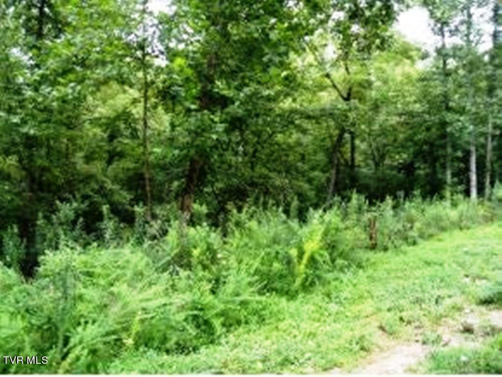 0000 Roaring Fork Road, Greeneville, Tennessee image 21