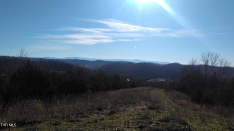 Vacant Land For Sale - 0000 Roaring Fork Road<br/> Greeneville, TN 37745