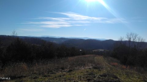 0000 Roaring Fork Road Greeneville TN 37745