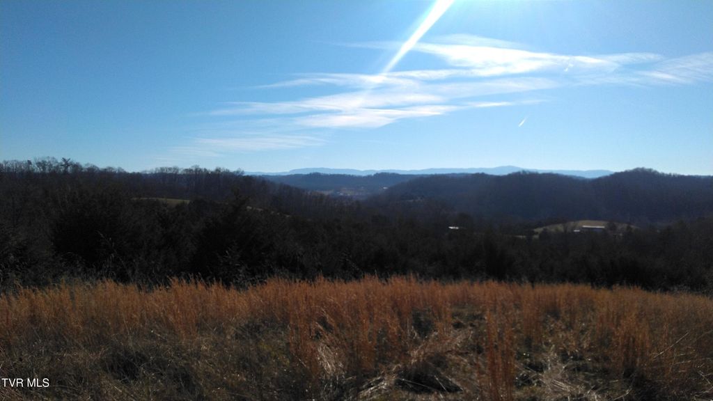 Photo of 0000 Roaring Fork Road, Greeneville, TN 37745 (MLS # 9964334)