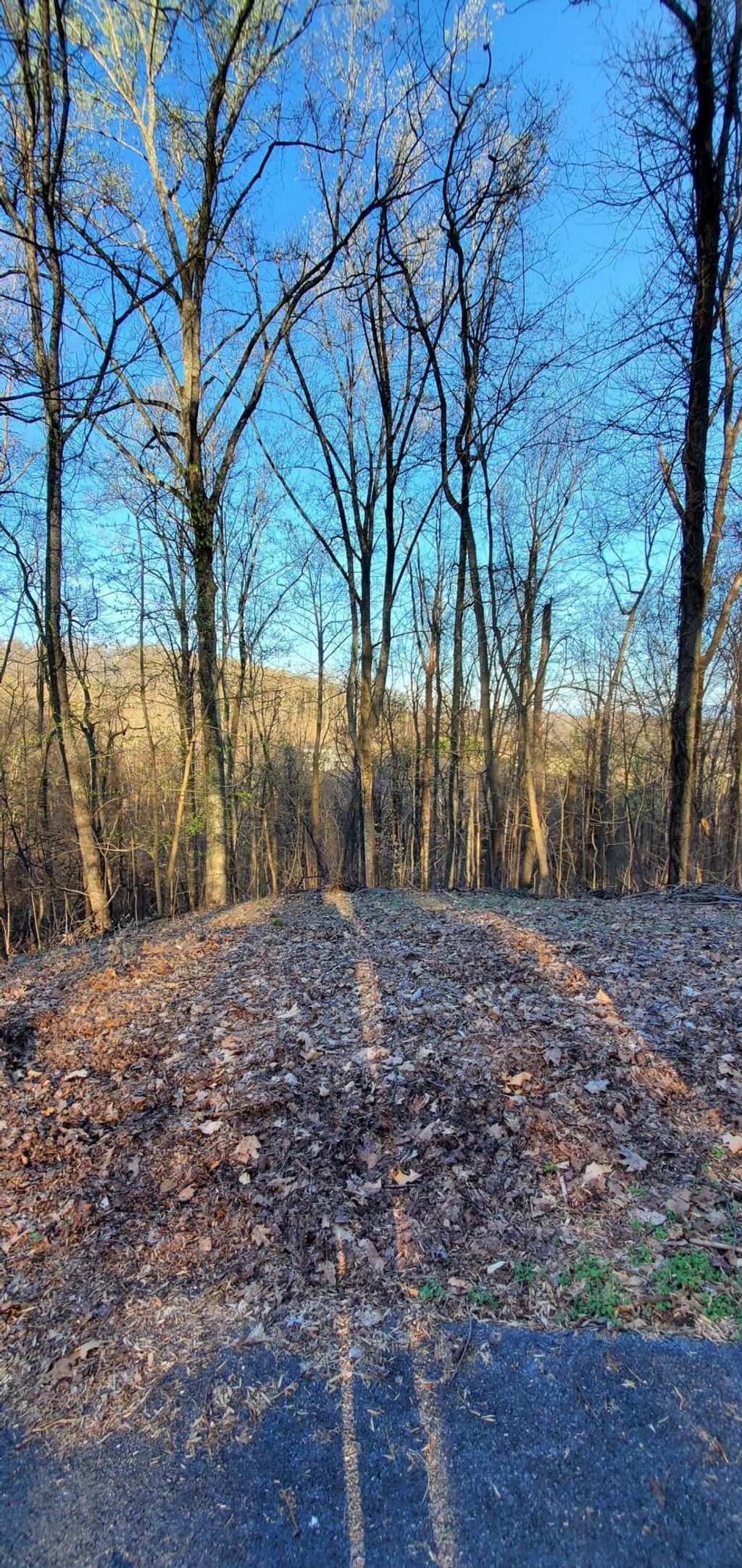 Photo of 5312 Foxfire Place, Kingsport, TN 37664 (MLS # 9950006)