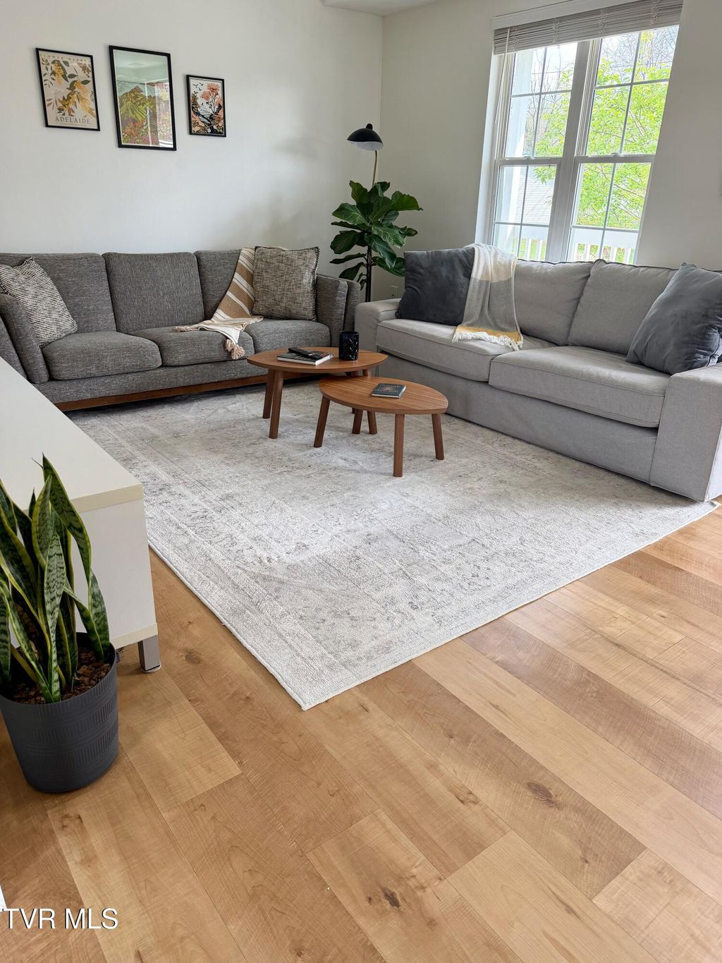 Photo of 1714 Daytona Court, Johnson City, TN 37601 (MLS # 9993161)