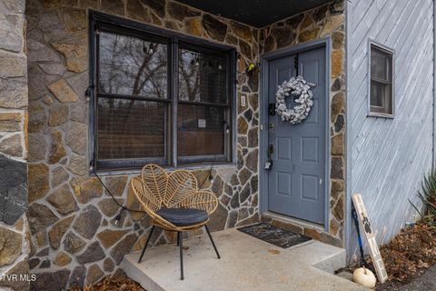 Photo of 348 River Road #B1, Bluff City, TN 37618 (MLS # 9990119)