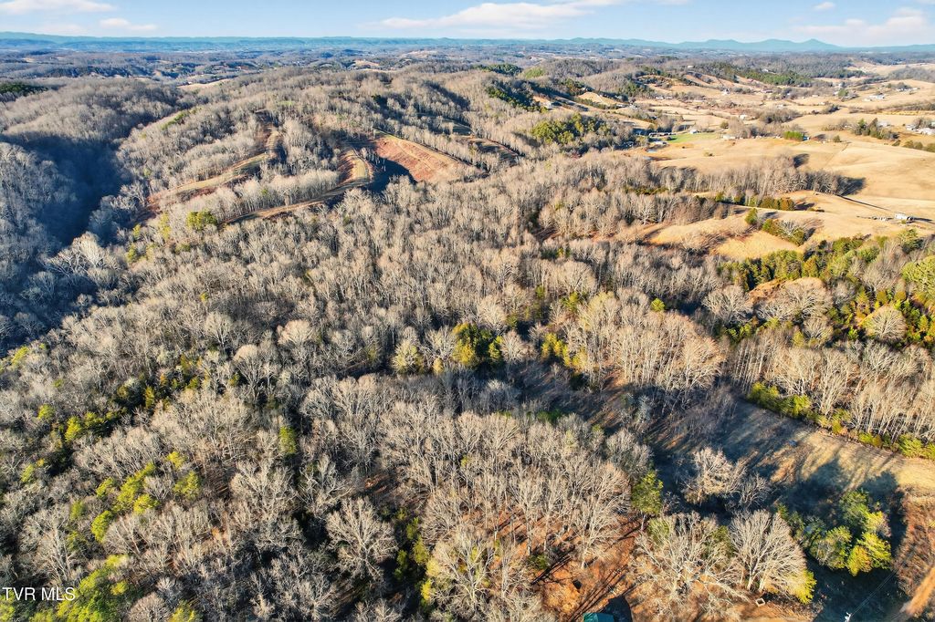 Photo of 1434 Pates Hill Road, Mosheim, TN 37818 (MLS # 9991273)