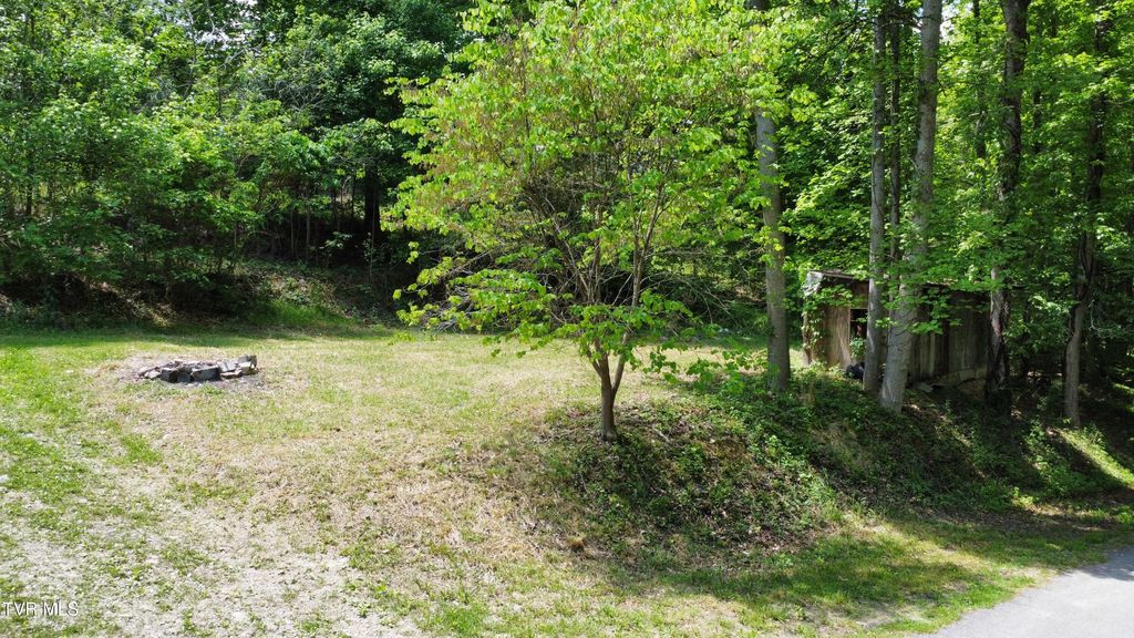 Photo of 125 Fiddler Road, Surgoinsville, TN 37873 (MLS # 9990299)