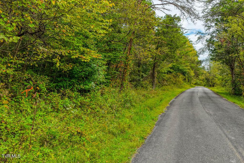 Photo of 2 Butcher Valley Road, Rogersville, TN 37857 (MLS # 9991550)