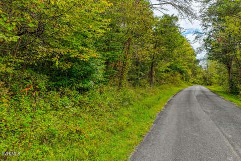 Vacant Land For Sale - LOT 2 Butcher Valley Road<br/> Rogersville, TN 37857