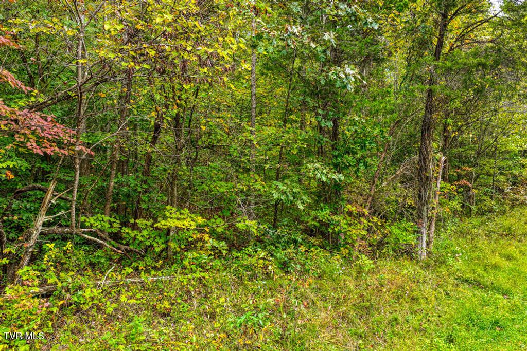 Photo of 2 Butcher Valley Road, Rogersville, TN 37857 (MLS # 9991550)