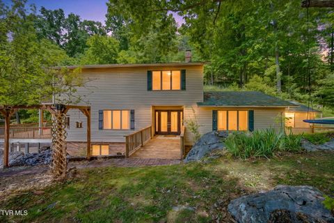 Photo of 1656 Fall Creek Road, Kingsport, TN 37664 (MLS # 9995149)