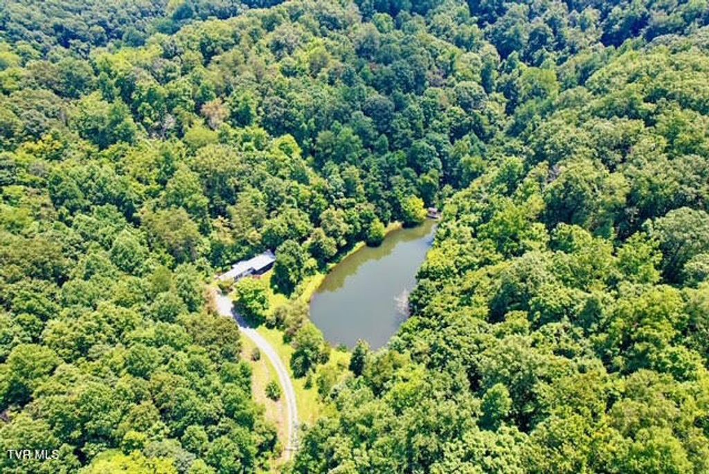Photo of 188 Flanary Street, Kingsport, TN 37660 (MLS # 9981891)
