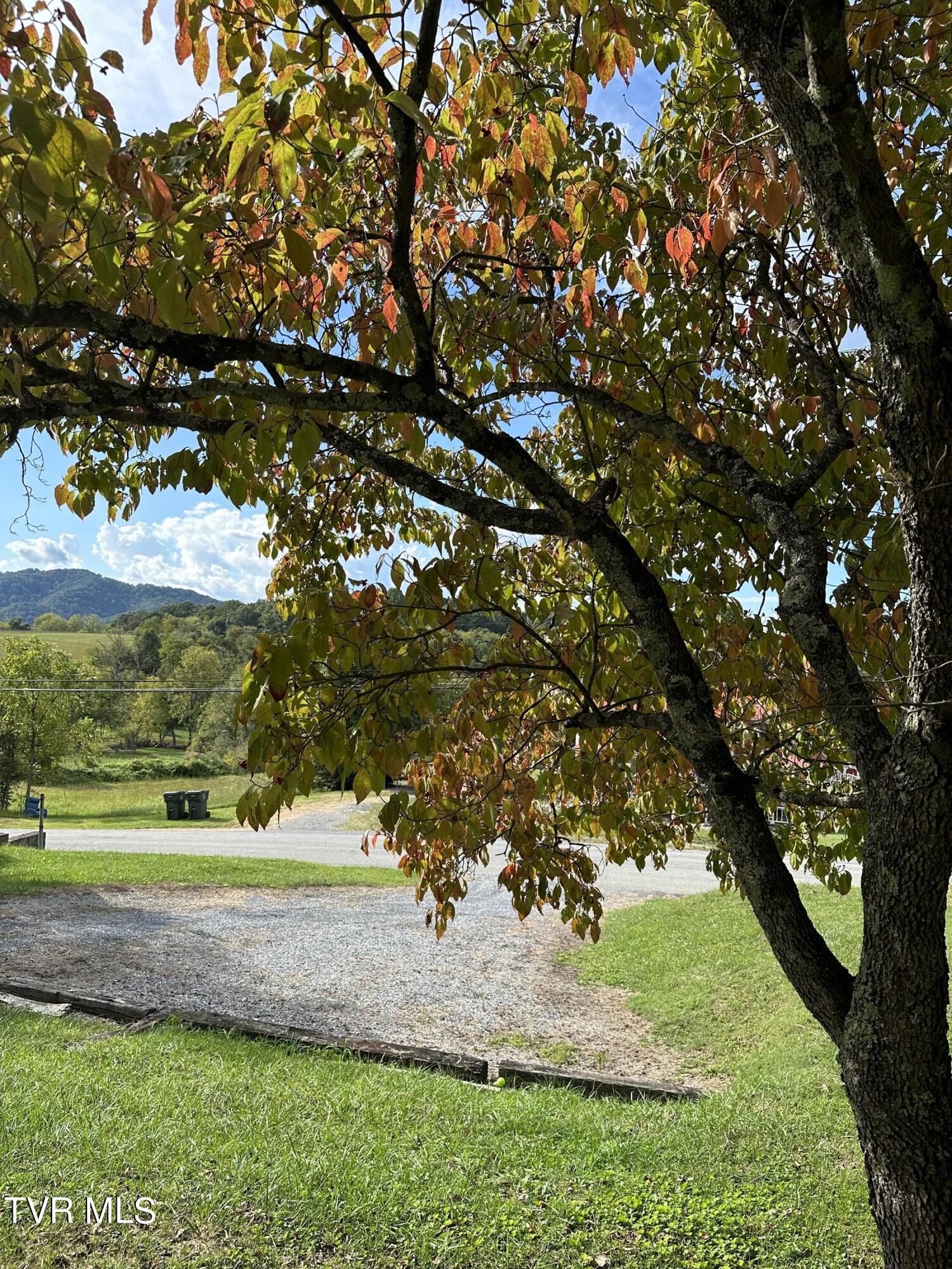 1370 Lovelace Road, Fall Branch, Tennessee image 8