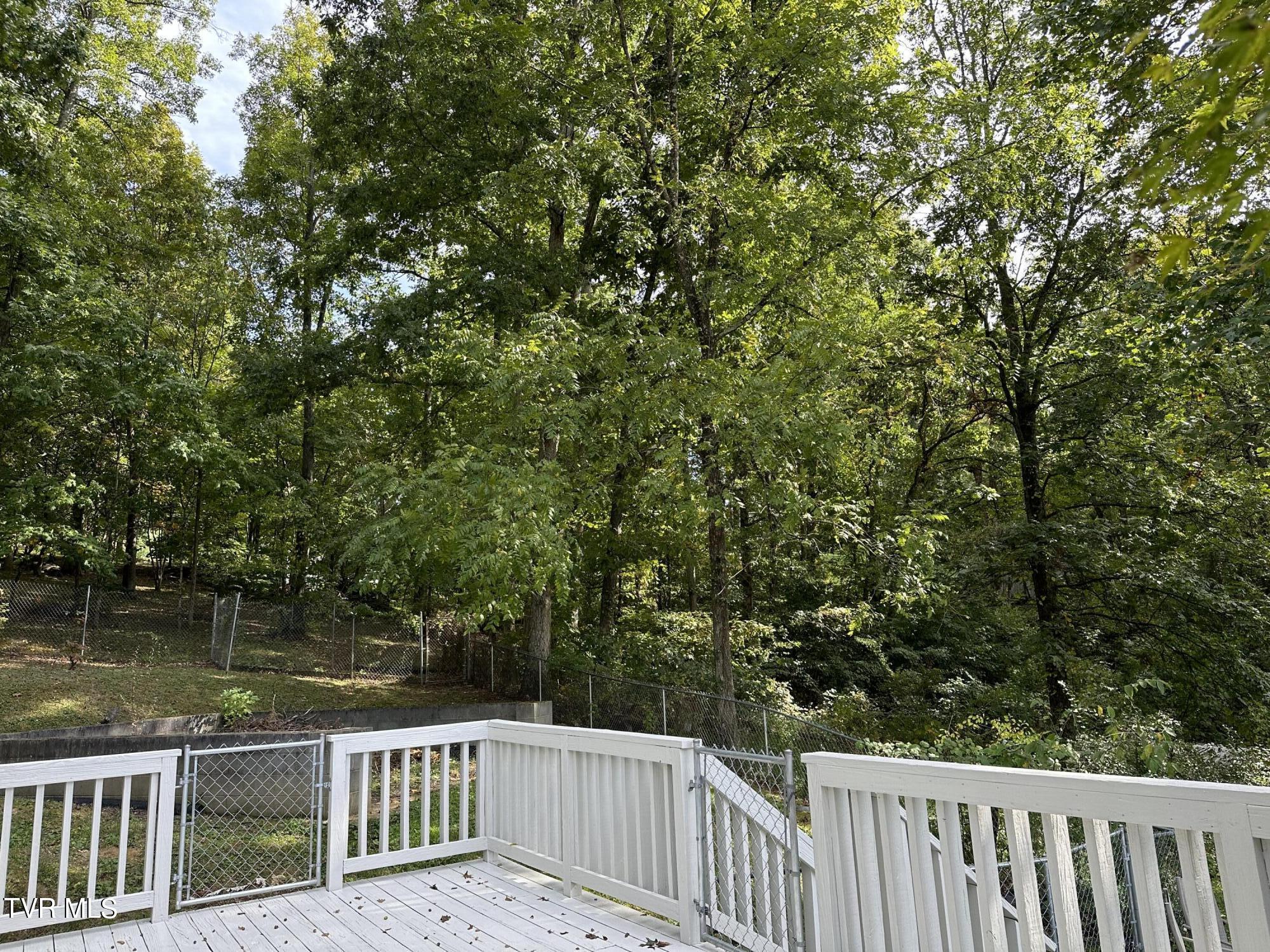 1370 Lovelace Road, Fall Branch, Tennessee image 18