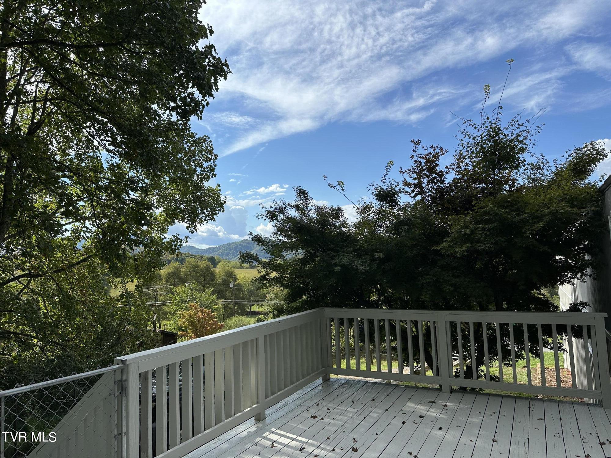 1370 Lovelace Road, Fall Branch, Tennessee image 6