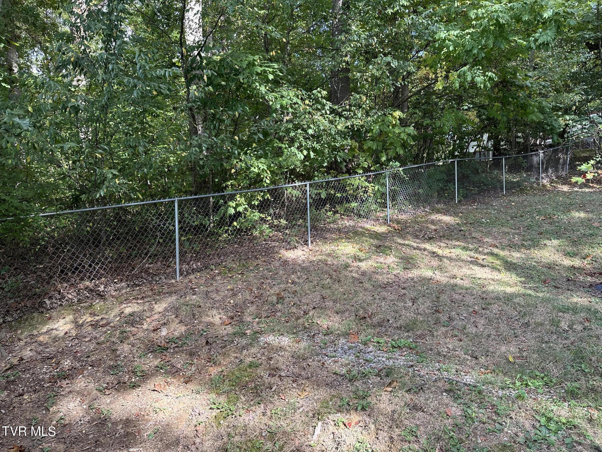 1370 Lovelace Road, Fall Branch, Tennessee image 42