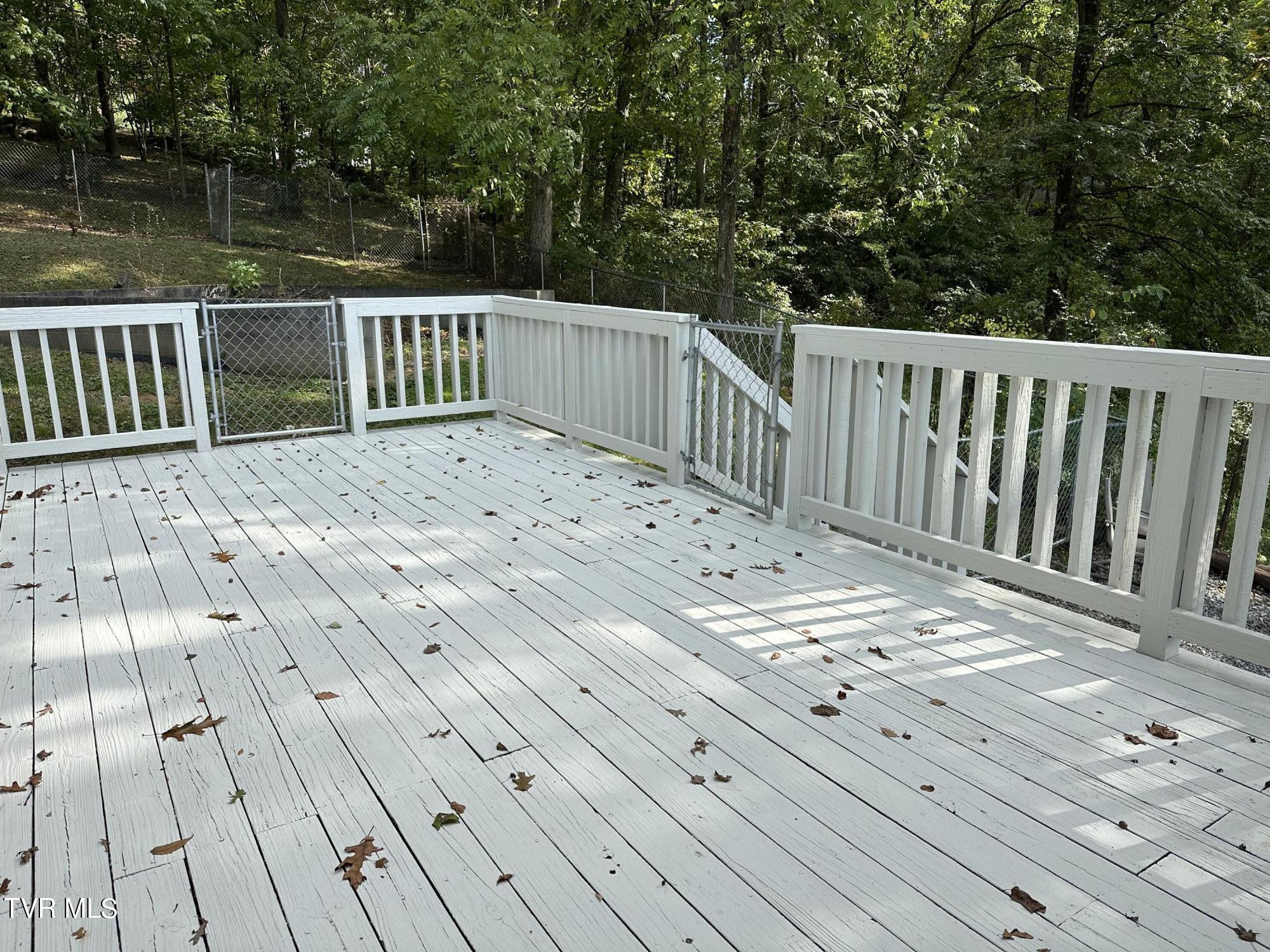 1370 Lovelace Road, Fall Branch, Tennessee image 2