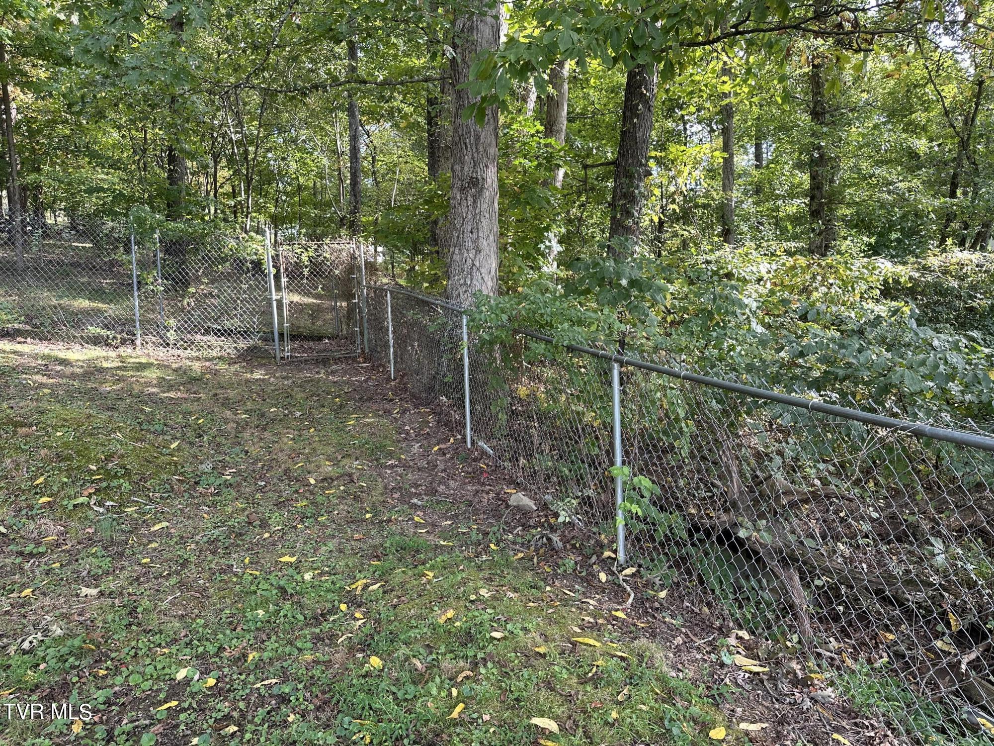 1370 Lovelace Road, Fall Branch, Tennessee image 11