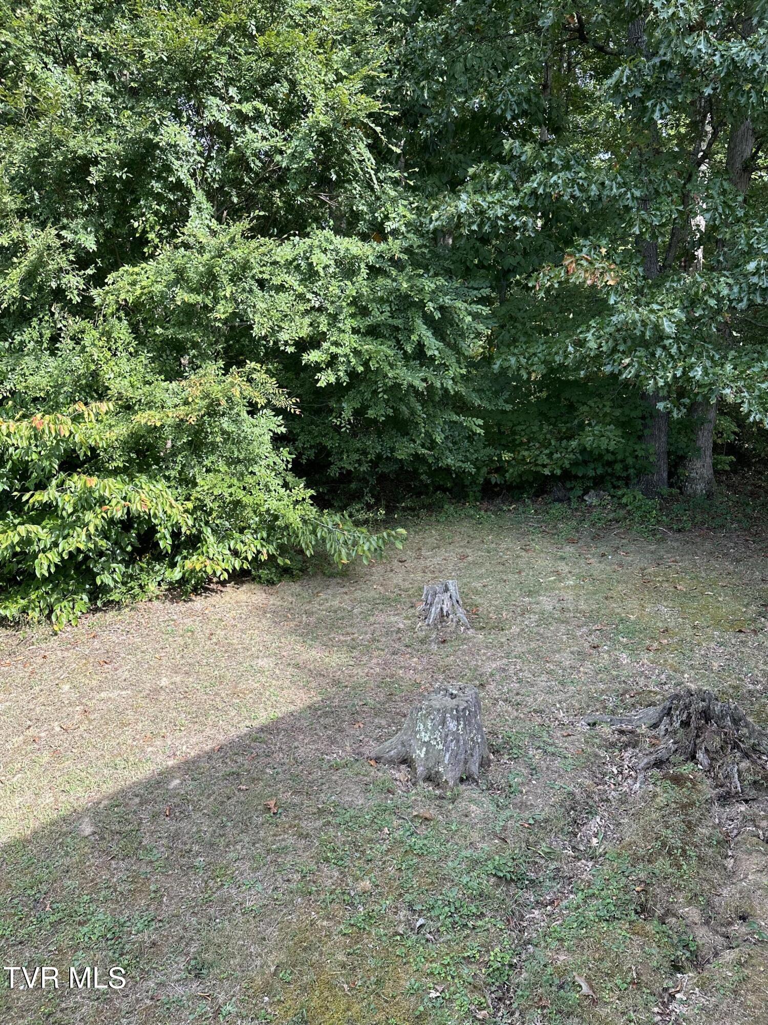 1370 Lovelace Road, Fall Branch, Tennessee image 17