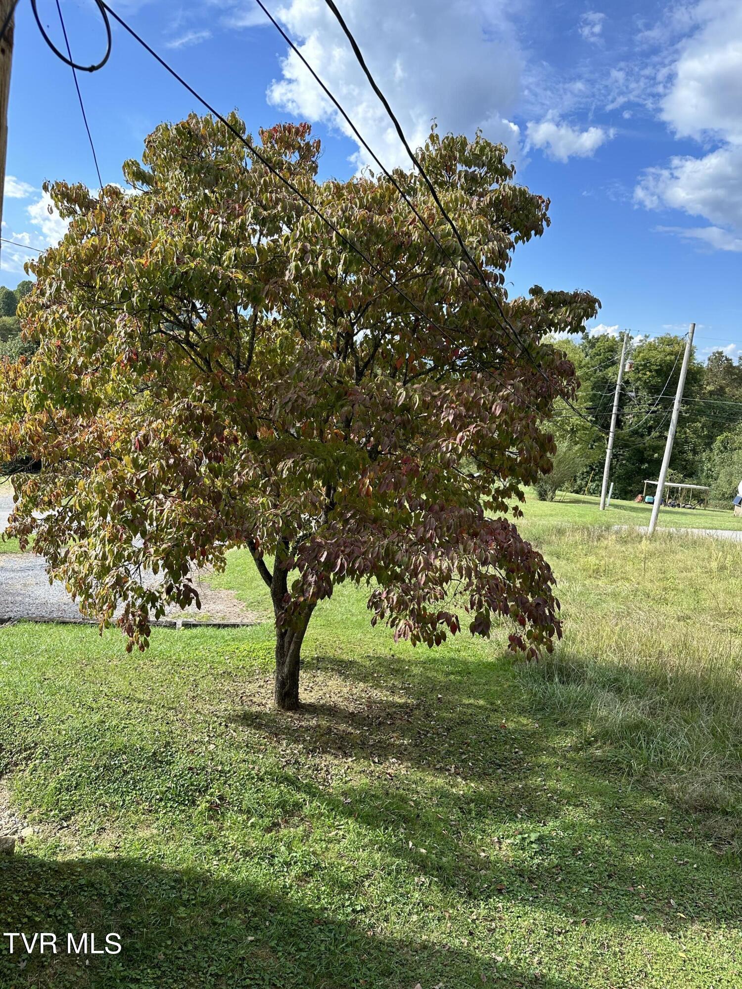 1370 Lovelace Road, Fall Branch, Tennessee image 44