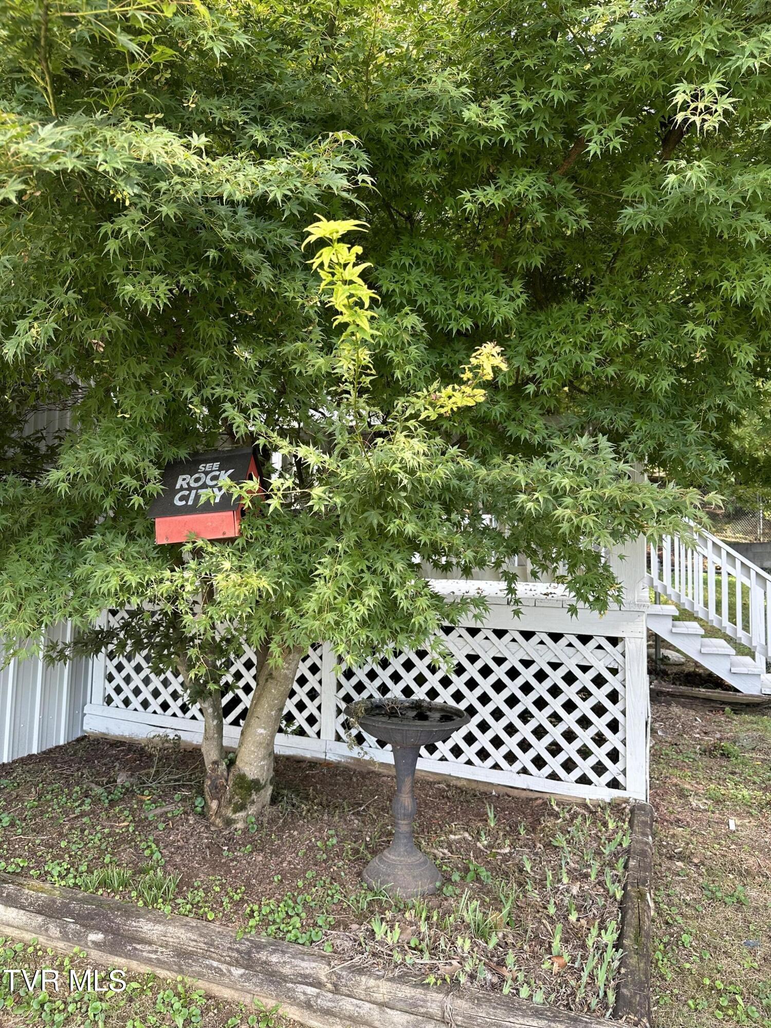 1370 Lovelace Road, Fall Branch, Tennessee image 20