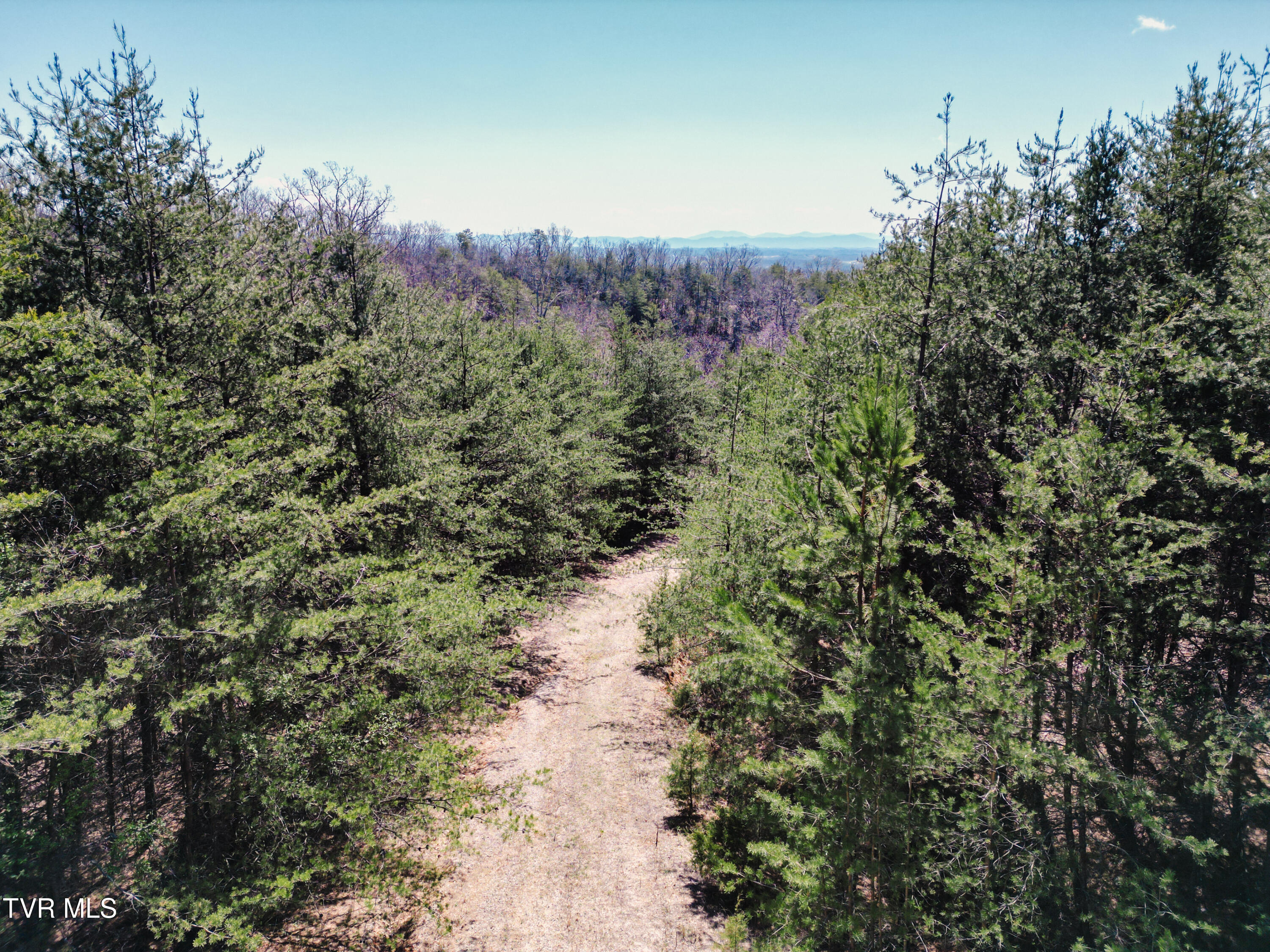 Tbd Stone Mountain Rd., Bulls Gap, Tennessee image 4