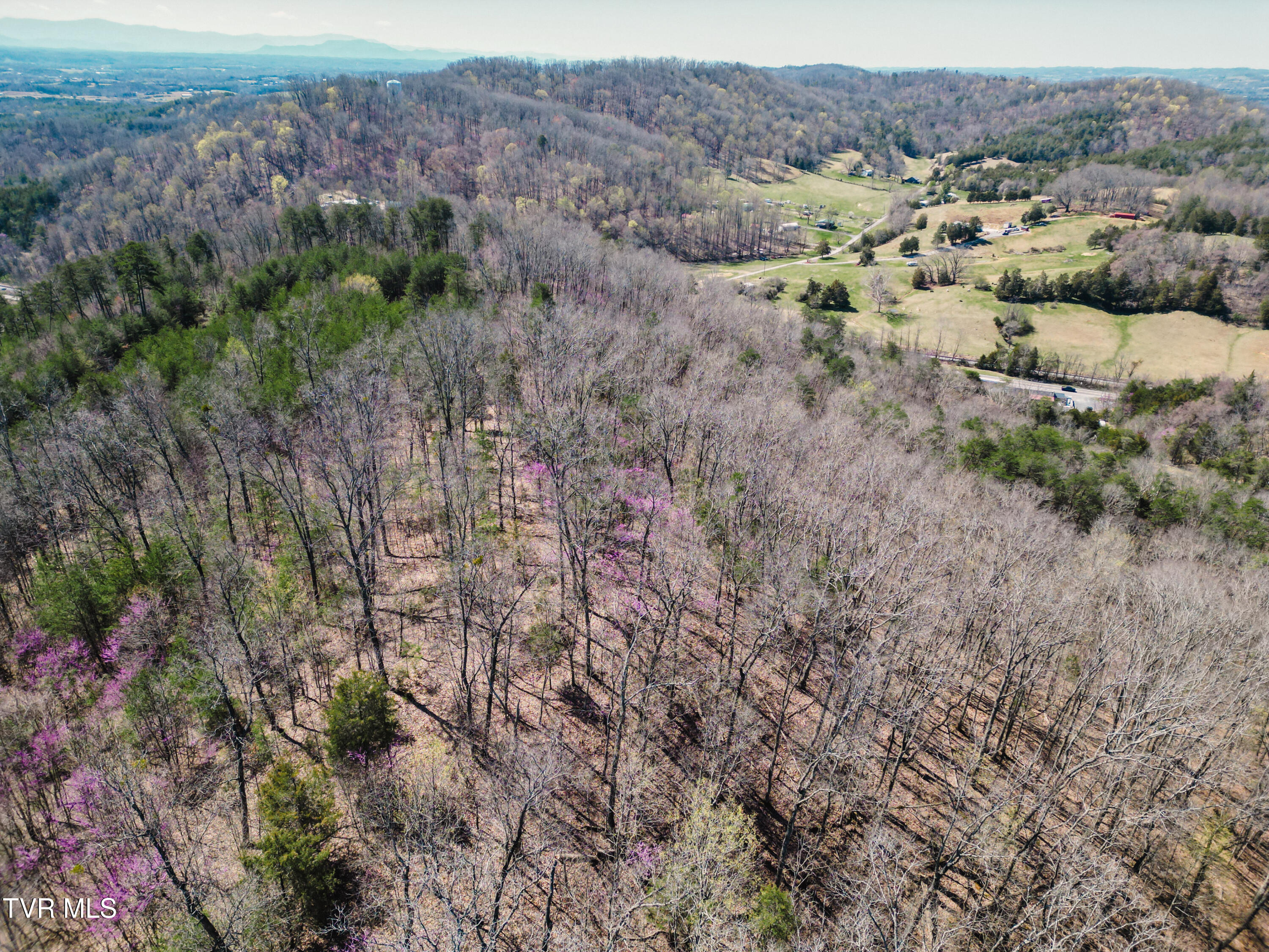 Tbd Stone Mountain Rd., Bulls Gap, Tennessee image 21