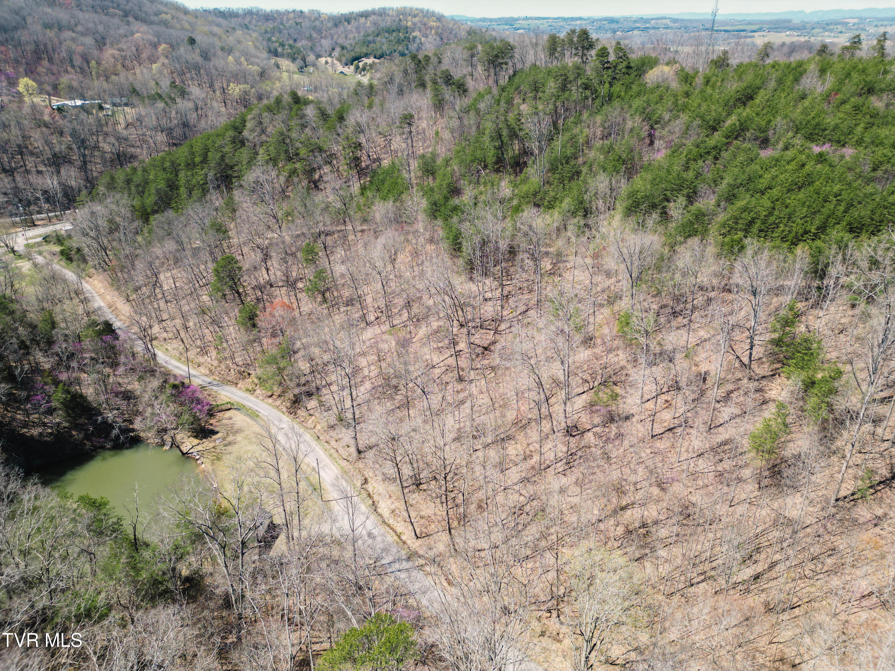 Tbd Stone Mountain Rd., Bulls Gap, Tennessee image 8