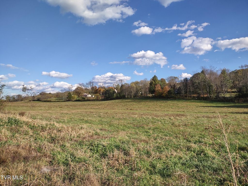 Photo of Tbd Springfield Drive, Meadowview, VA 24361 (MLS # 9987511)