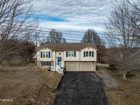 Photo of 134 Tucker Lane, Johnson City, TN 37601 (MLS # 9989665)