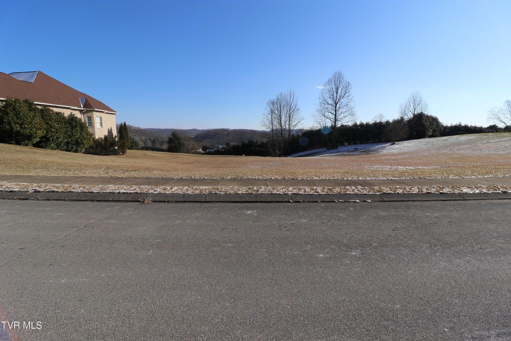 Photo of 231 Old Island Trail, Kingsport, TN 37664 (MLS # 9990598)
