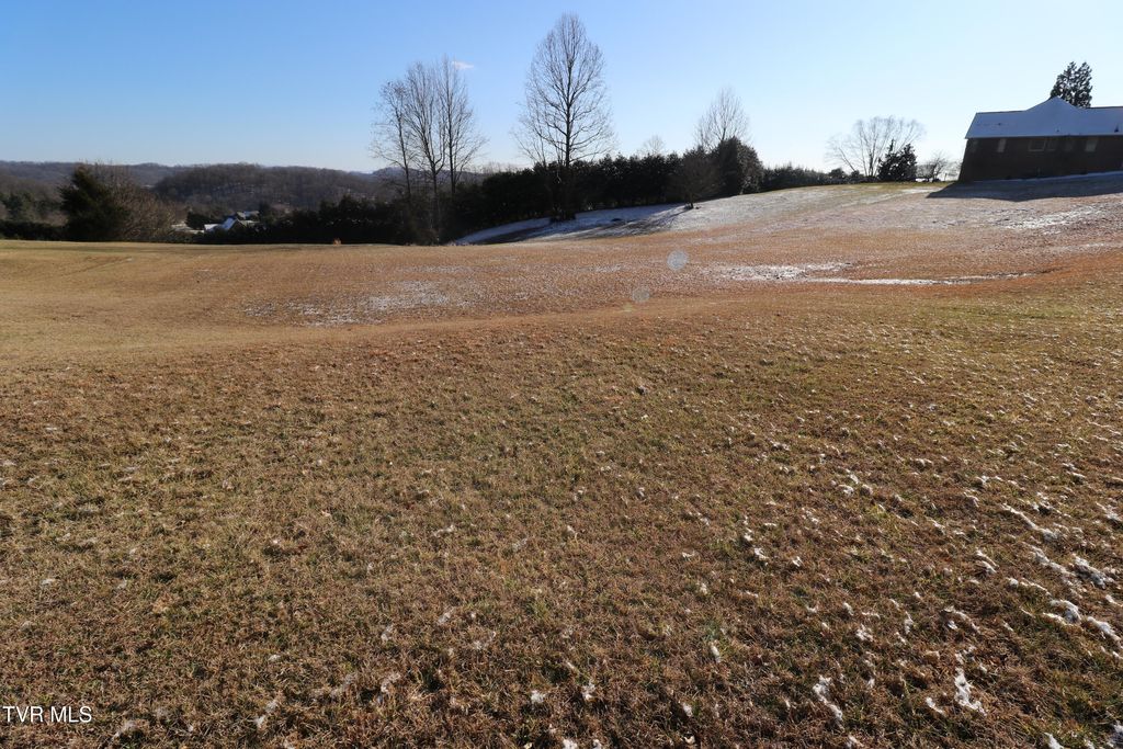 Photo of 231 Old Island Trail, Kingsport, TN 37664 (MLS # 9990598)