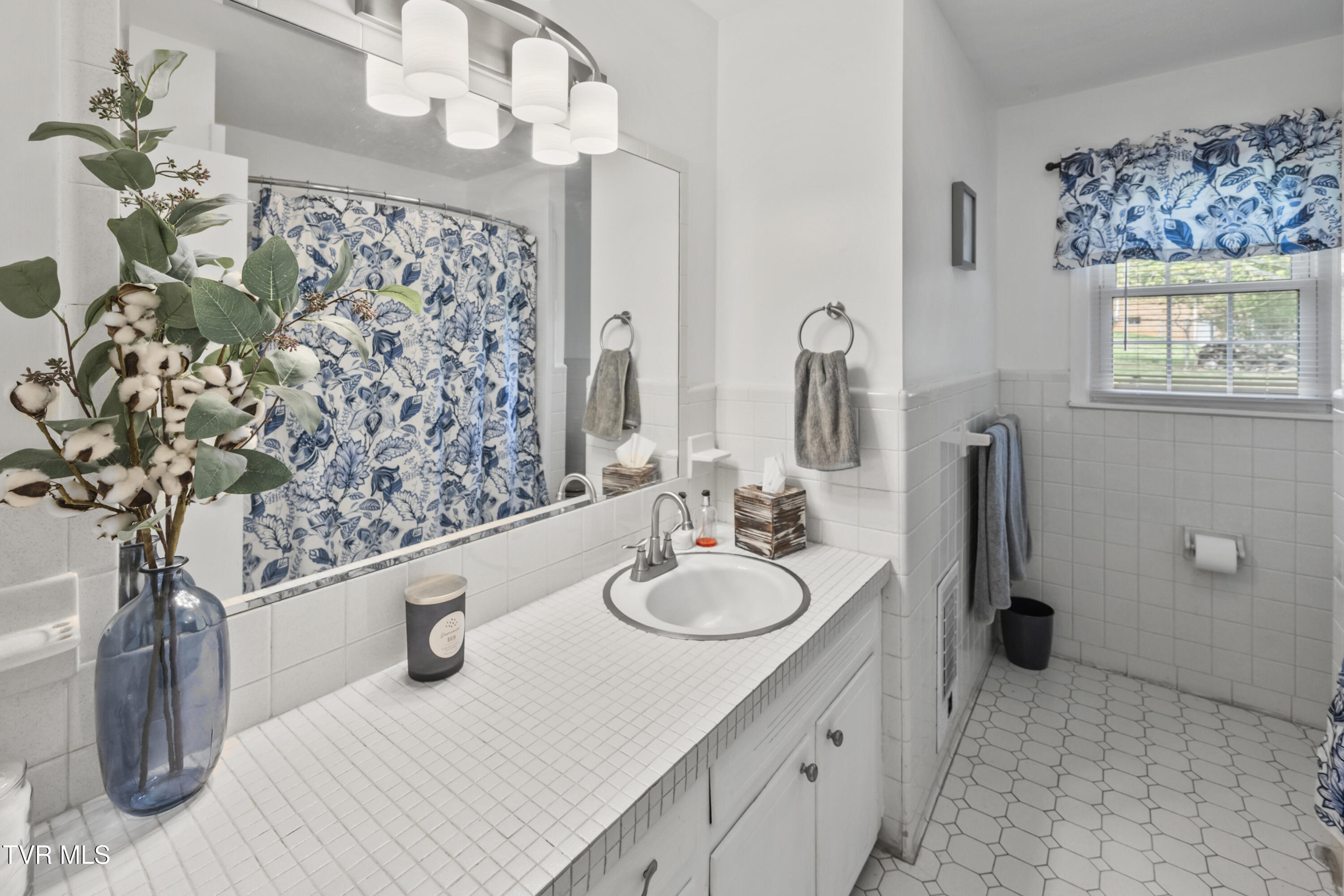 7357 White Pine Circle, Bristol, Virginia image 20