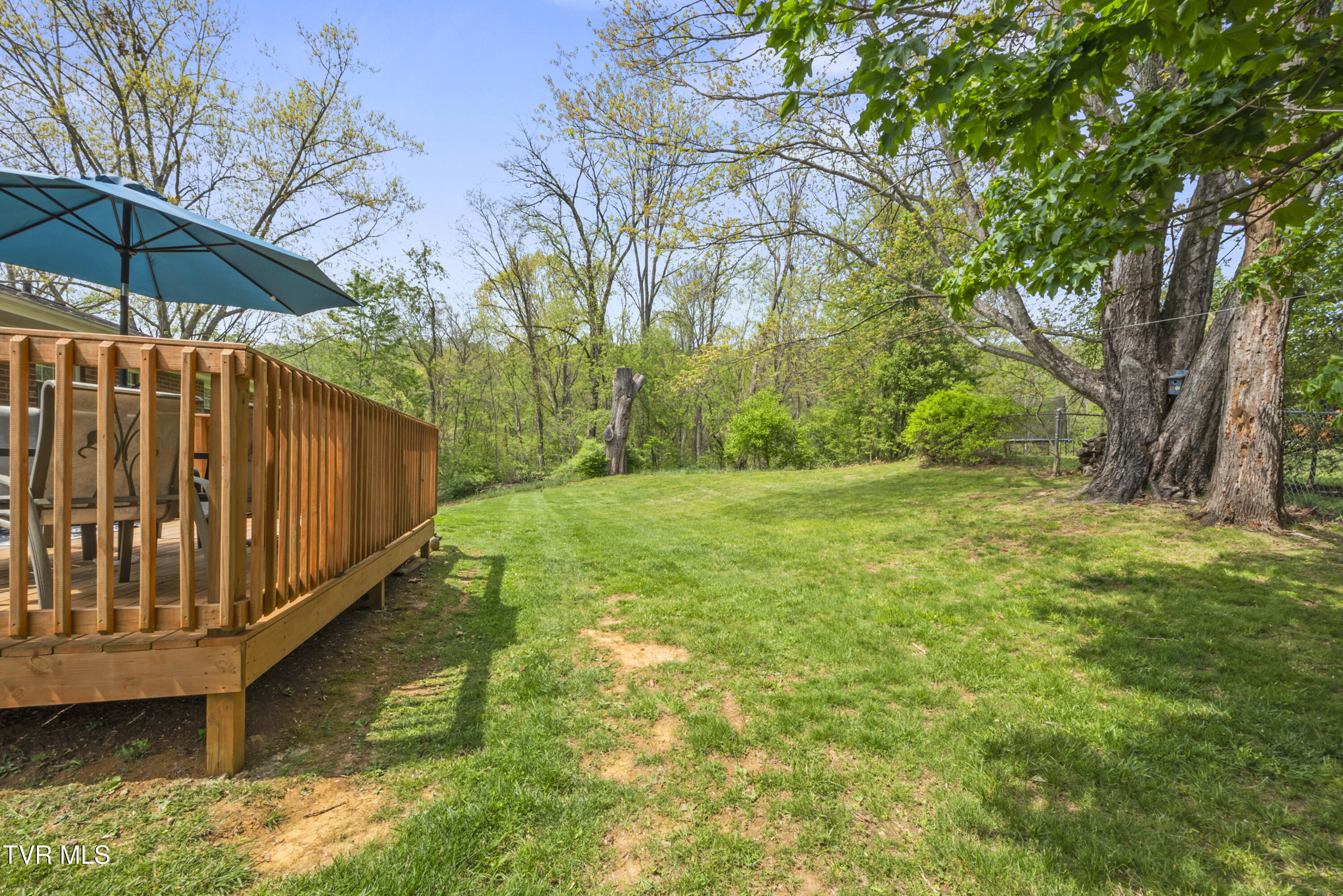 7357 White Pine Circle, Bristol, Virginia image 36