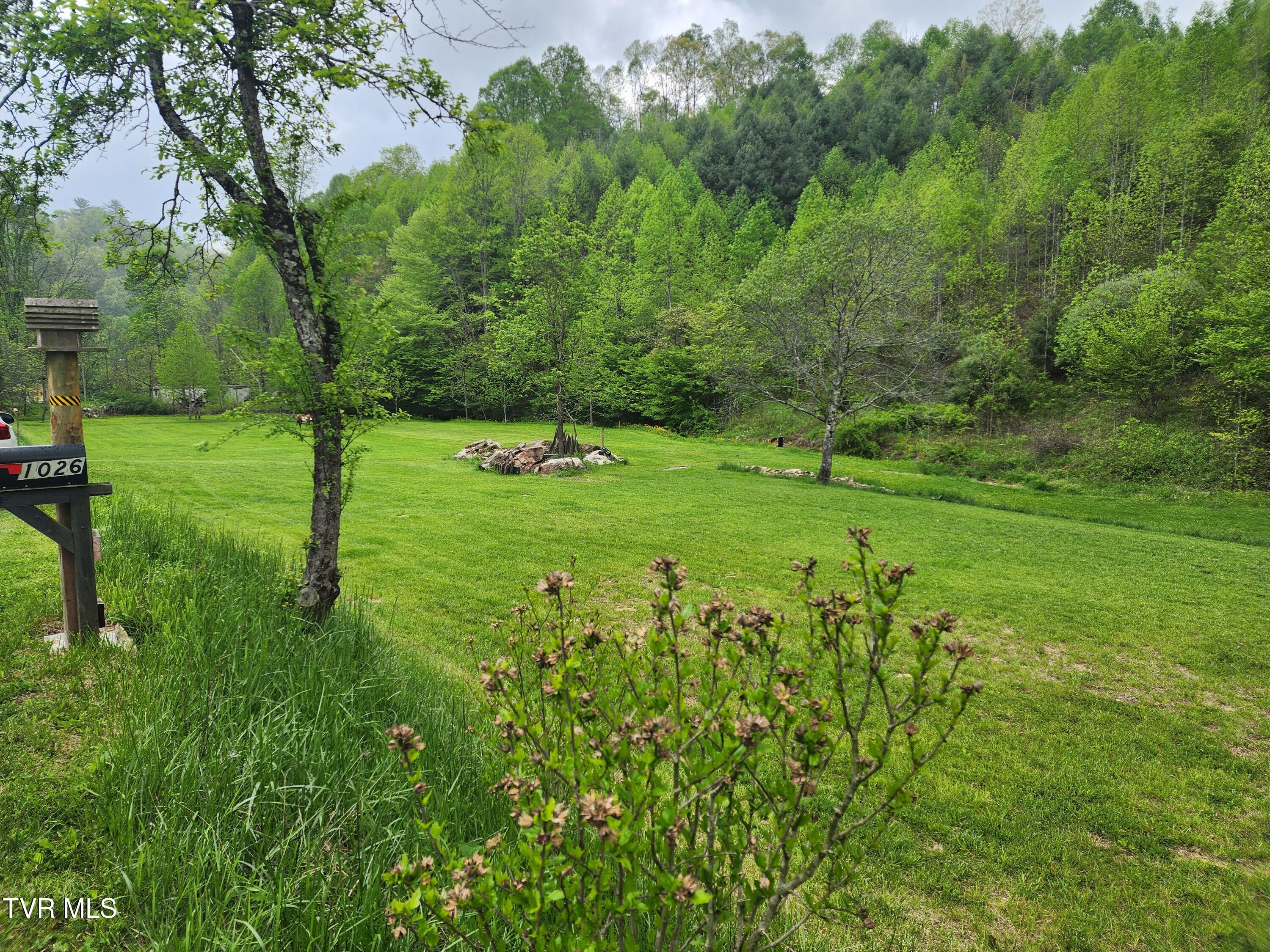 1026 Mcewen Road, Mountain City, Tennessee image 7