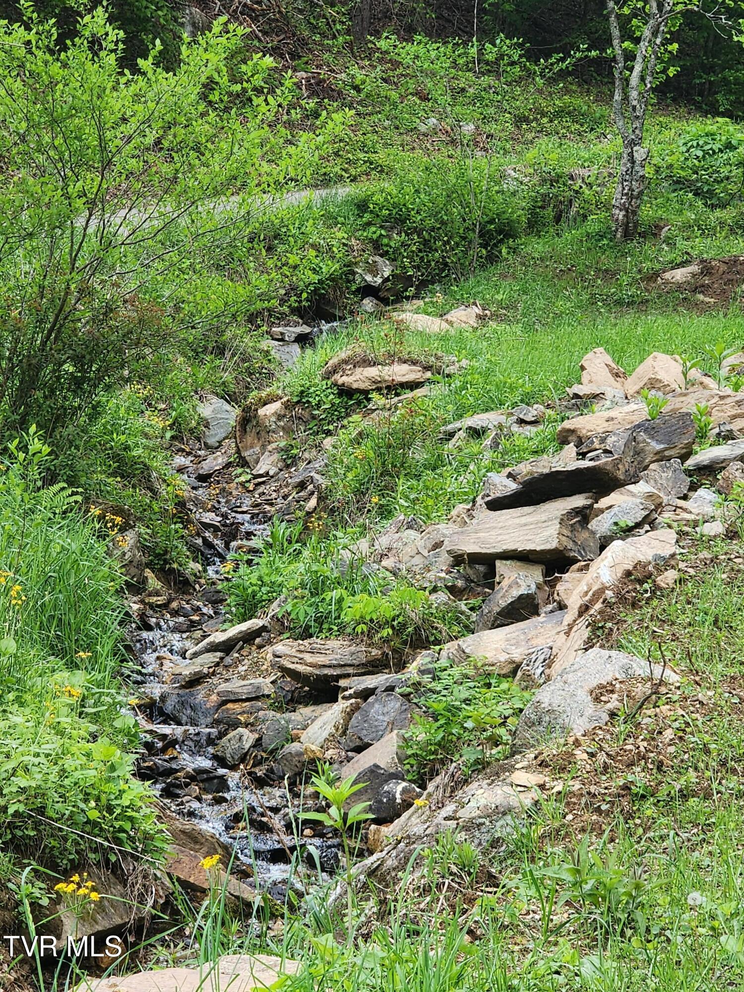 1026 Mcewen Road, Mountain City, Tennessee image 22