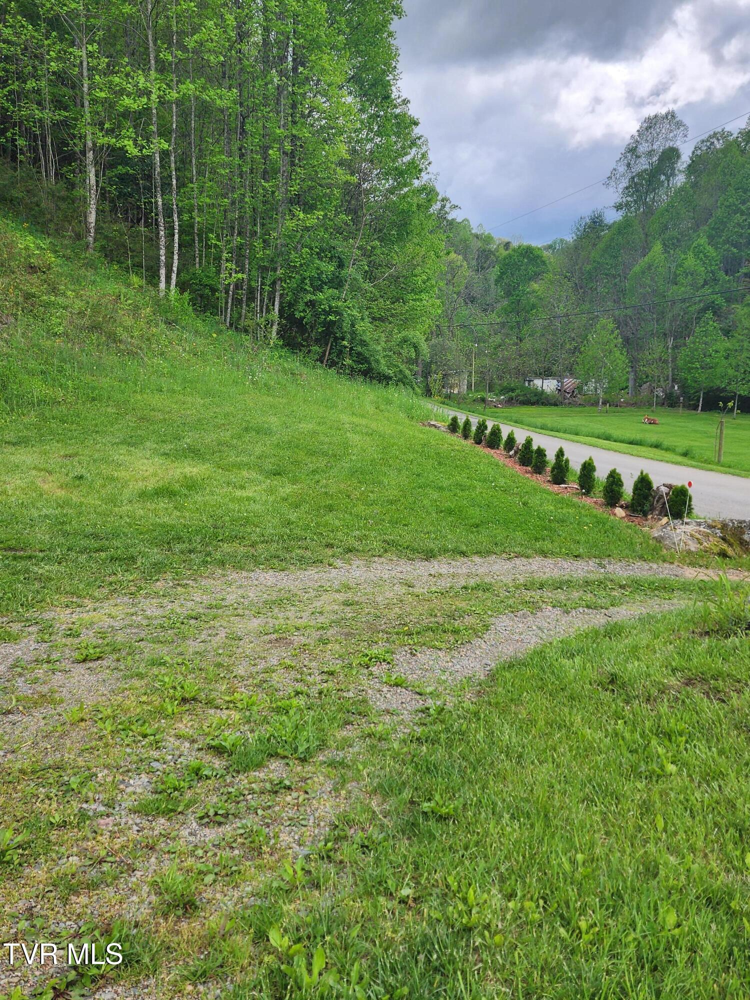 1026 Mcewen Road, Mountain City, Tennessee image 12