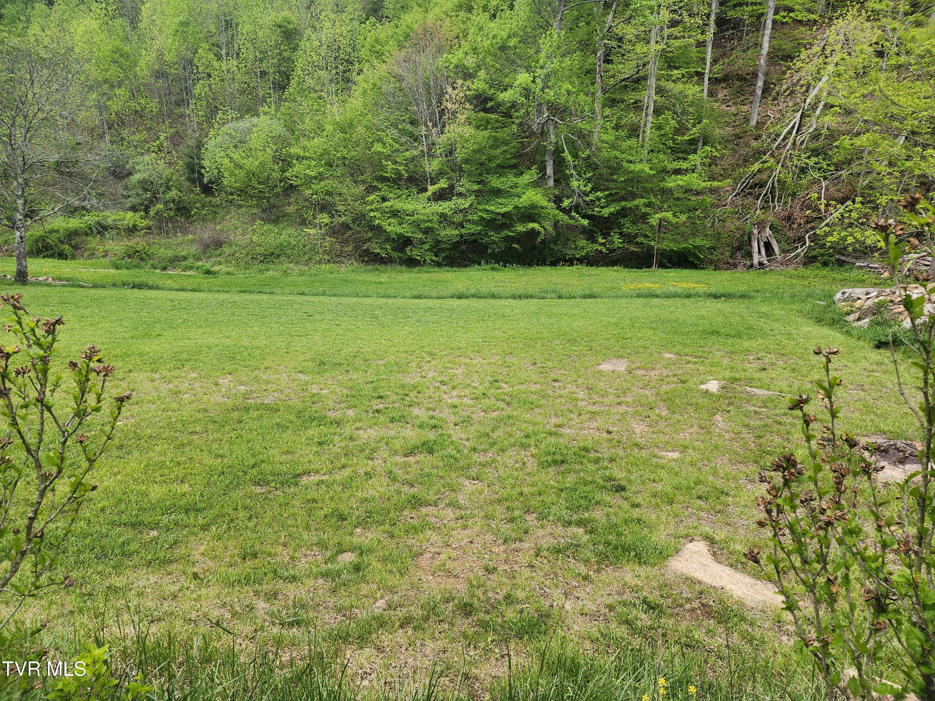 1026 Mcewen Road, Mountain City, Tennessee image 6