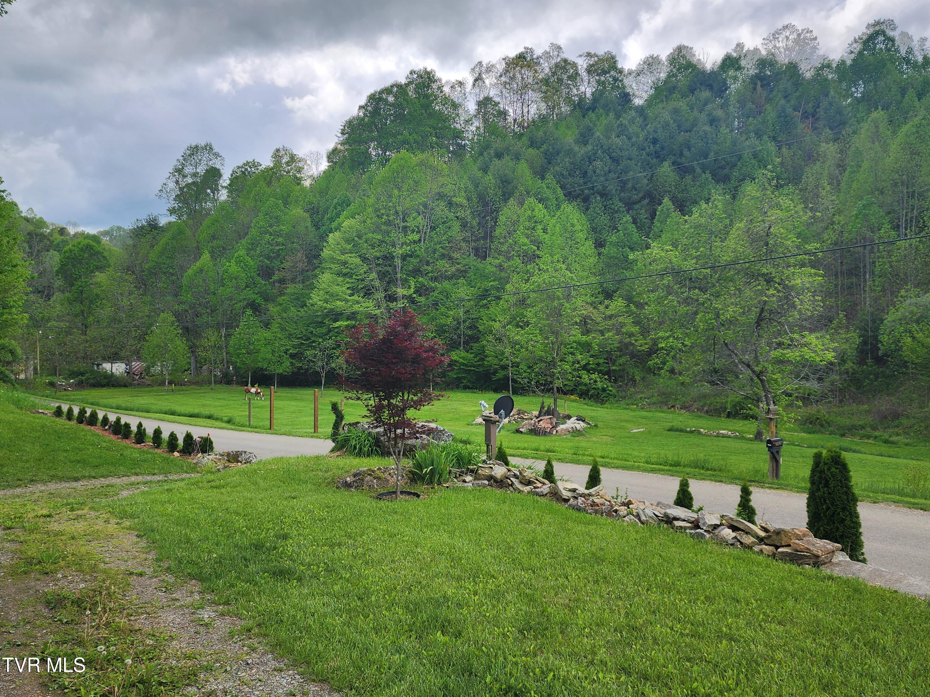 1026 Mcewen Road, Mountain City, Tennessee image 11