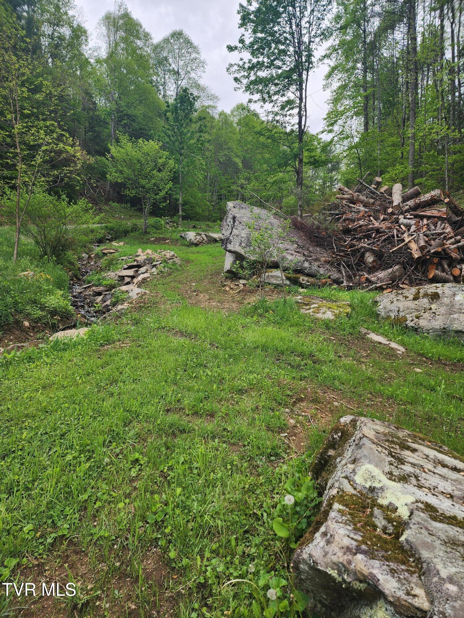 1026 Mcewen Road, Mountain City, Tennessee image 20