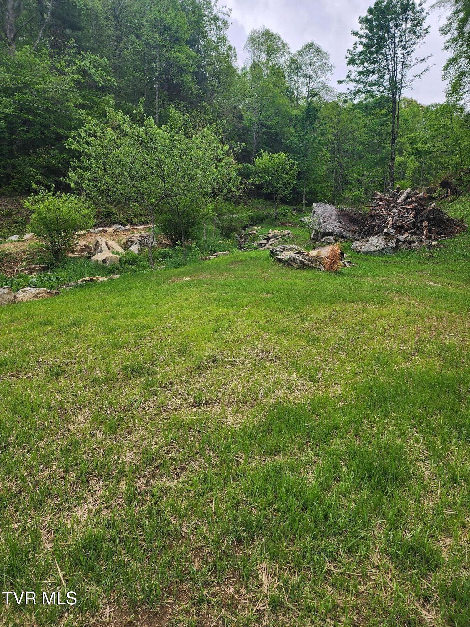 1026 Mcewen Road, Mountain City, Tennessee image 24