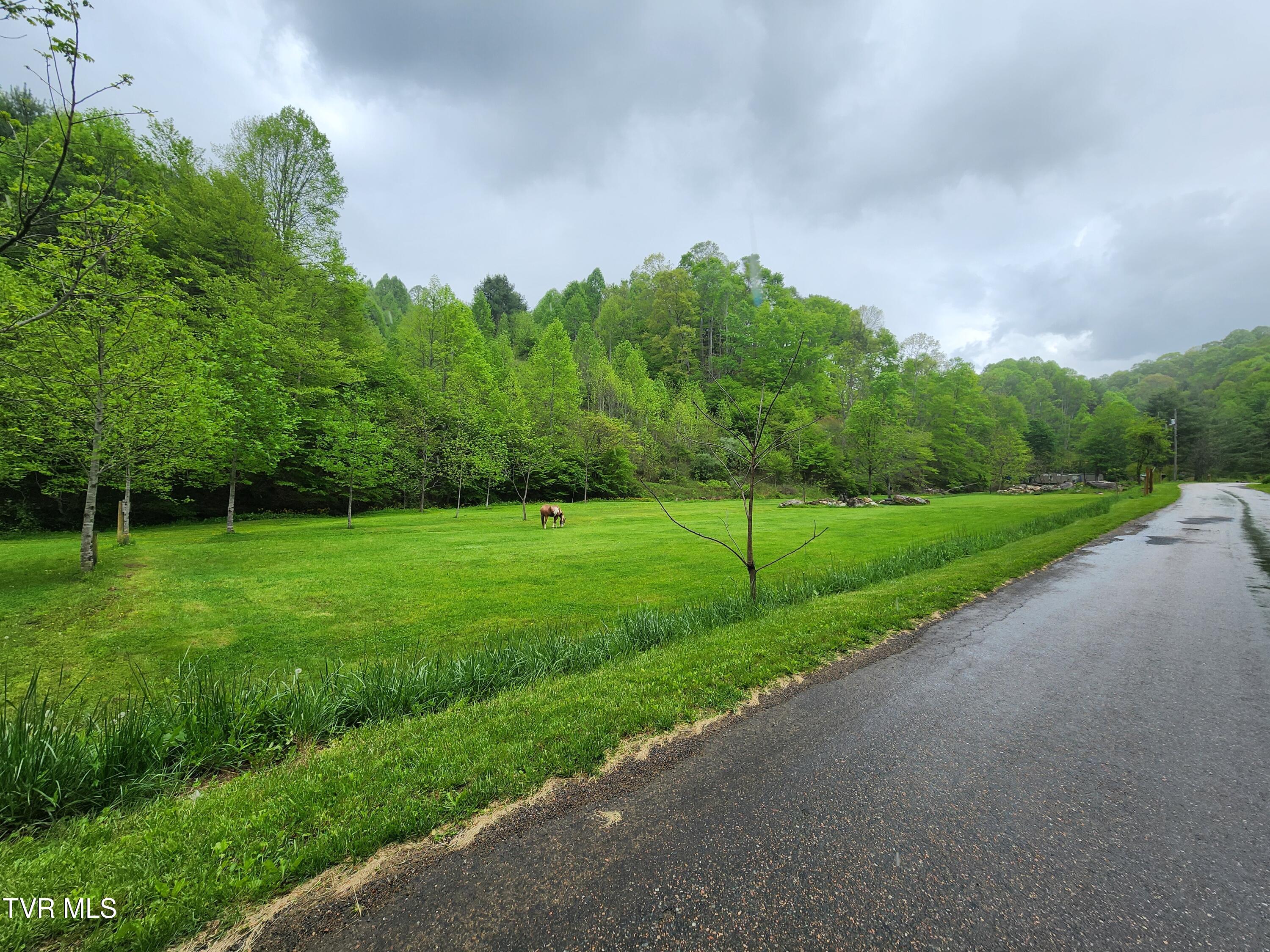 1026 Mcewen Road, Mountain City, Tennessee image 4