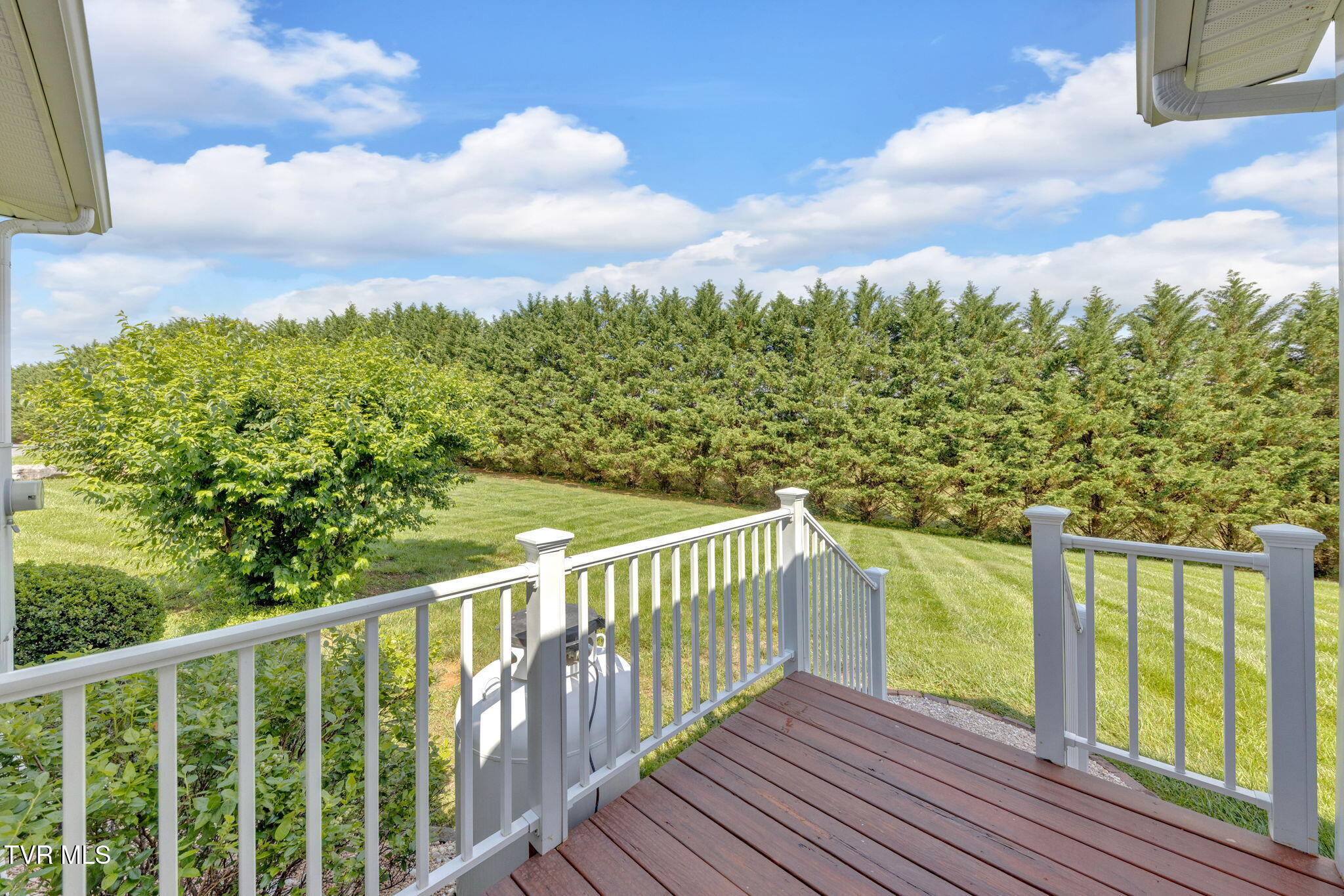 1005 Rachels Way, Piney Flats, Tennessee image 48