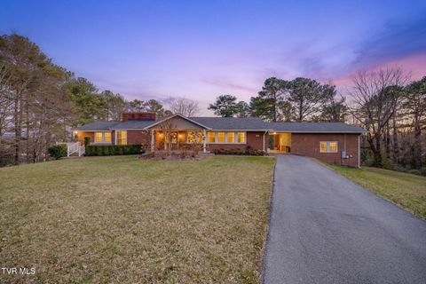 Photo of 315 Hillcrest Drive, Greeneville, TN 37745 (MLS # 9992321)