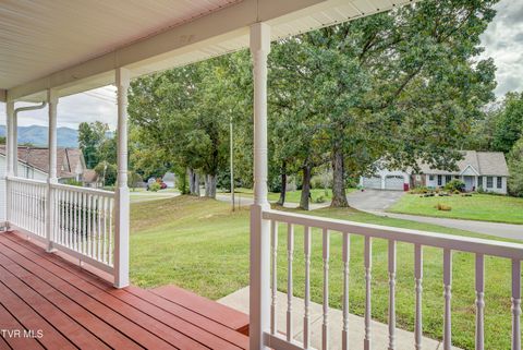 Tiny photo for 3424 Street Drive, Johnson City, TN 37604 (MLS # 9986322)