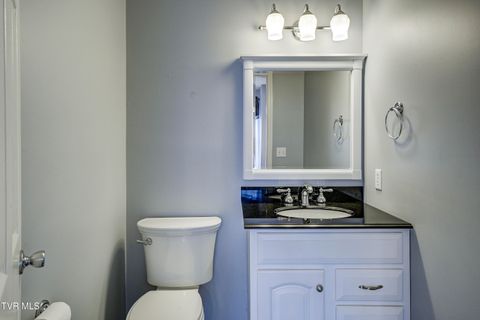 Tiny photo for 3424 Street Drive, Johnson City, TN 37604 (MLS # 9986322)