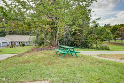 Tiny photo for 3424 Street Drive, Johnson City, TN 37604 (MLS # 9986322)
